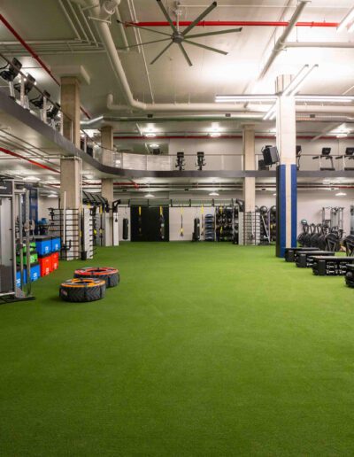 A gym with a green carpet and a lot of equipment.