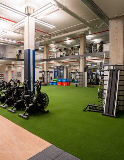 A gym with a green carpet and a lot of equipment.