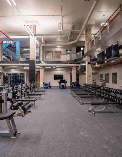 A gym with a lot of weights and machines.