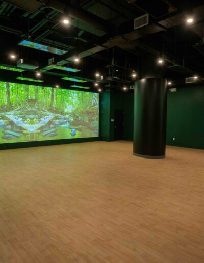 A room with a large screen showing a forest.