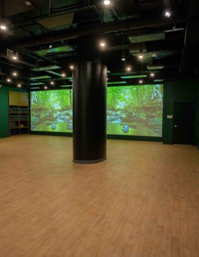 A room with green walls and a projection screen.