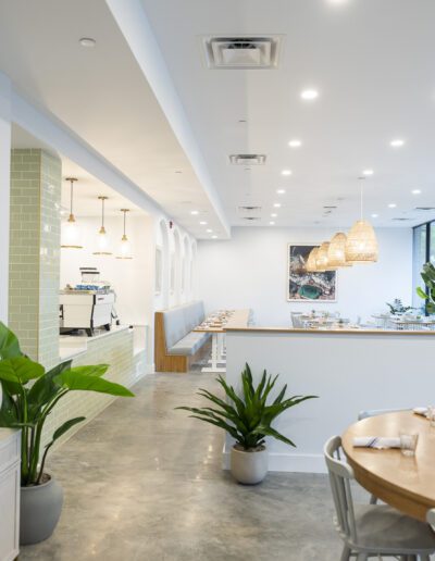 The interior of a restaurant with a plant on the table.