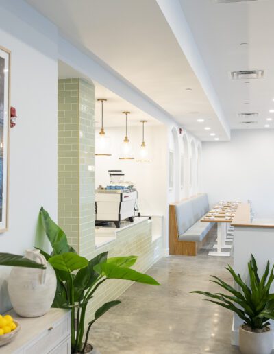 The interior of a restaurant with white walls and plants.